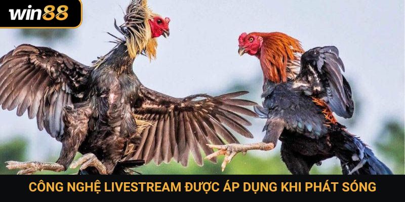 Công nghệ livestream được áp dụng khi phát sóng