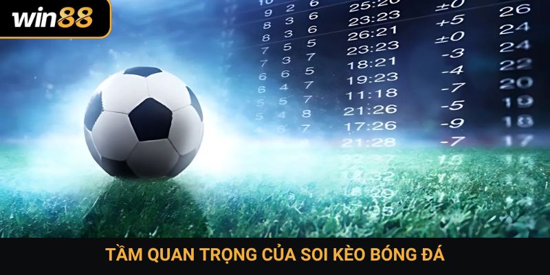 Tầm quan trọng của soi kèo bóng đá