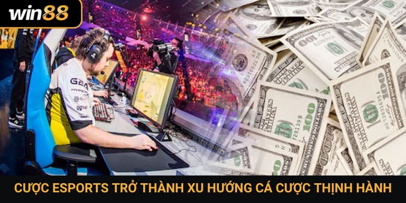 Cược Esports trở thành xu hướng cá cược thịnh hành